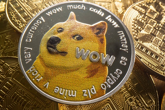 dogecoin_800x533_l_1637446667-1